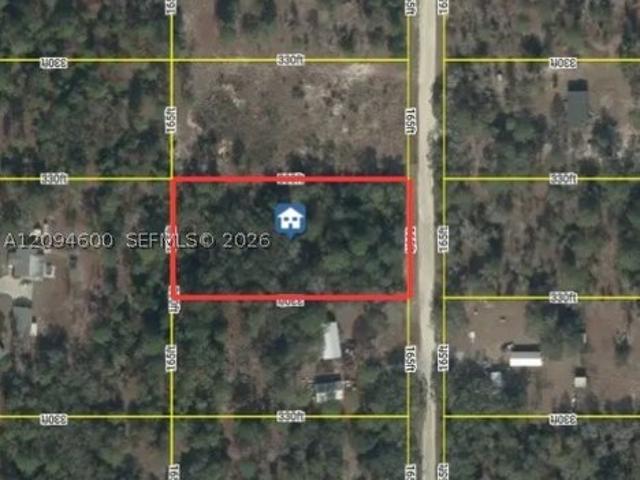 Land for sale in Williston, Levy County