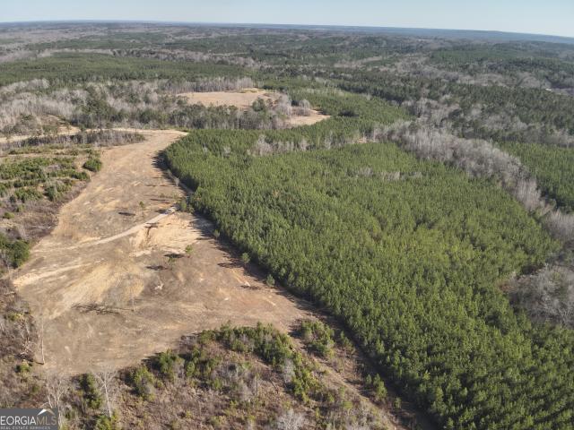 Land for sale in Georgia