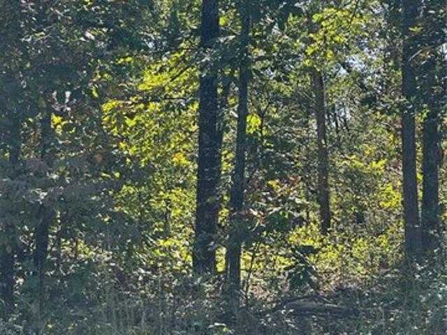 Land for sale in Doniphan, Missouri