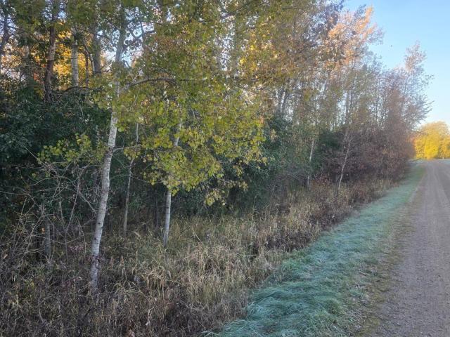 Land for sale in Foley