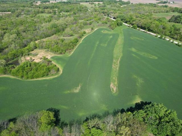 Farm for sale in Oakford, Illinois