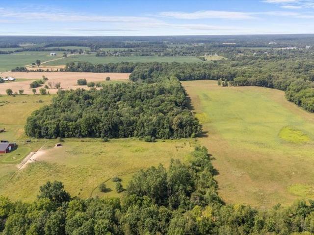 Land for sale in Hudson, Michigan