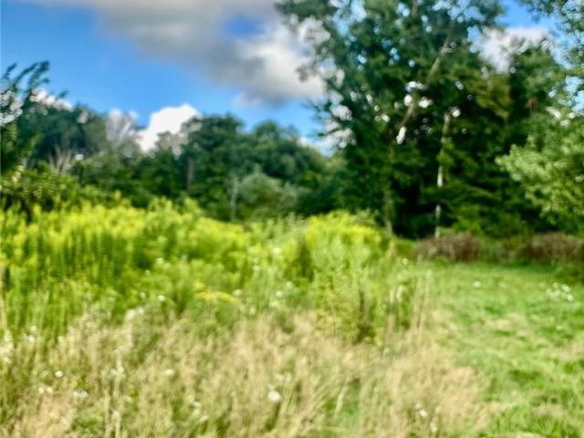 Land for sale in Cayuga, New York