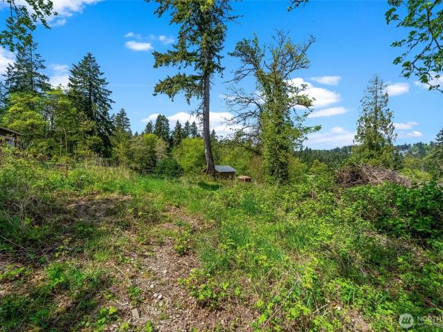 Land for sale in Olalla, Washington