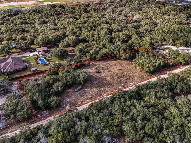 Land for sale in San Patricio, Texas