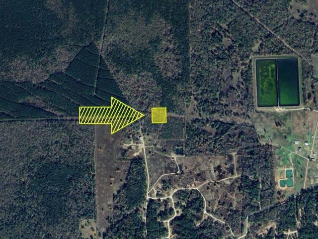 Land for sale in Sour Lake, Texas