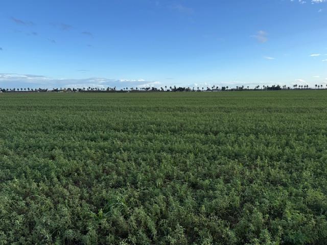 Land for sale in Patterson, California