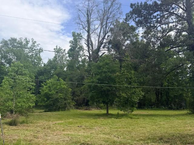 Land for sale in Walker, Louisiana