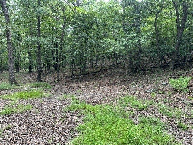 Land for sale in Ark