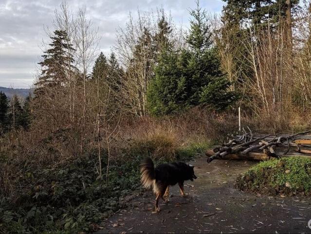 Land for sale in Kelso, Washington