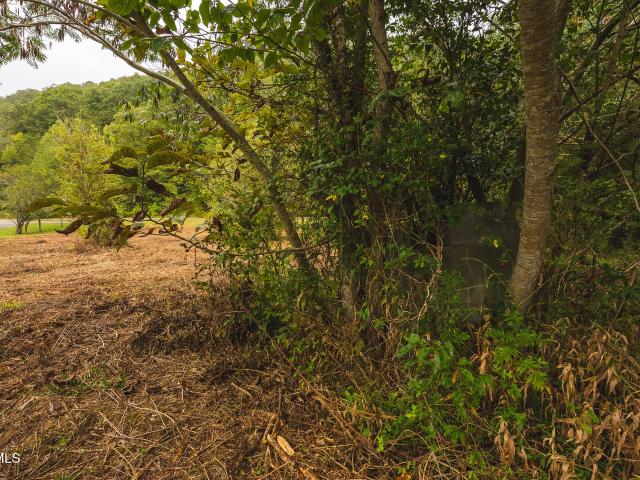 Land for sale in Van Hill, Rogersville