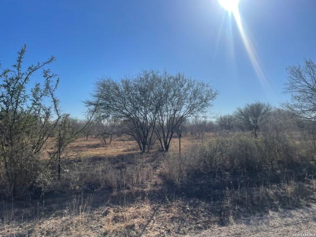 Land for sale in Jourdanton, Texas