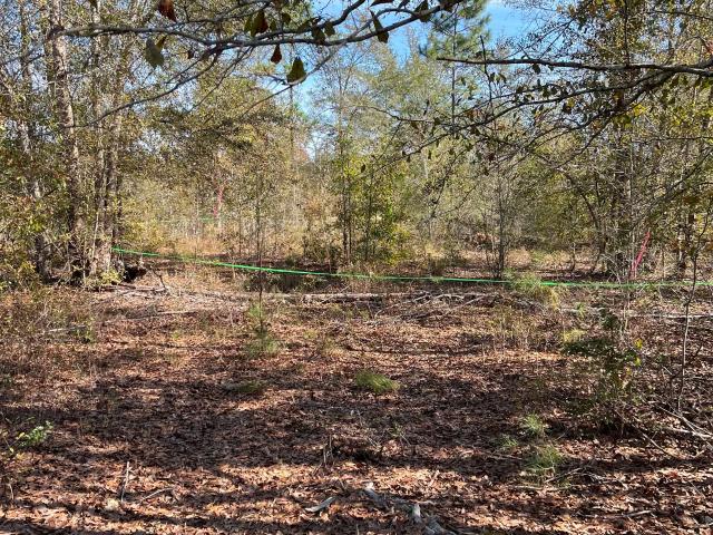 Land for sale in Dodge, Georgia