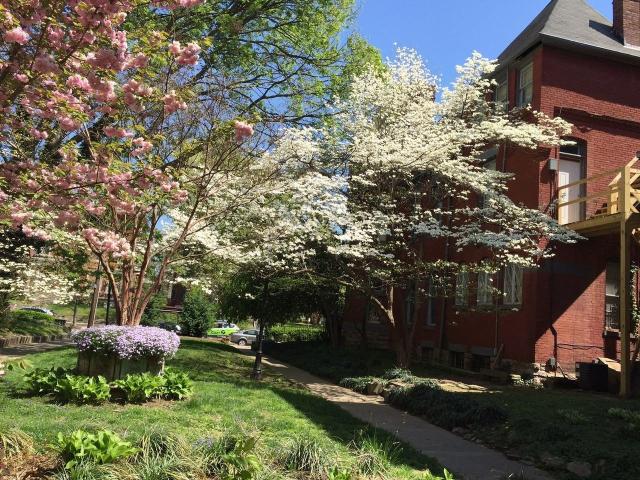 Apartment for rent in Louisville, Kentucky