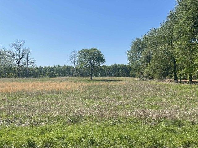 Land for sale in Florence, Alabama