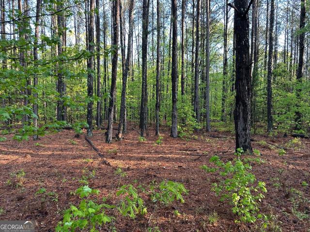 Land for sale in Jenkinsburg, Georgia