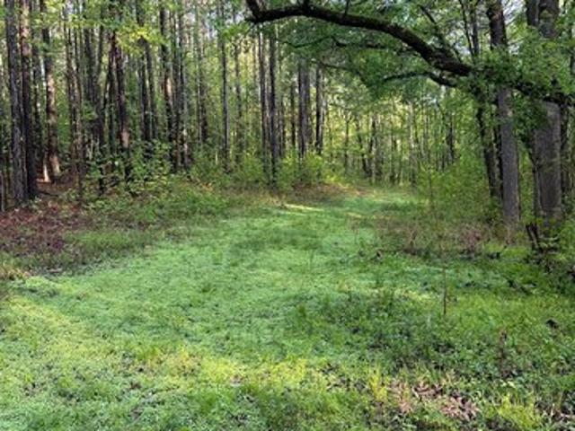 Land for sale in Jenkinsburg, Georgia