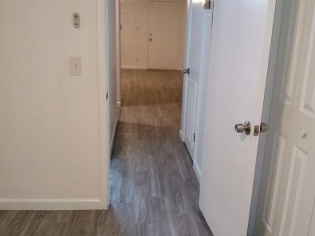 Apartment for rent in Tempe, Arizona