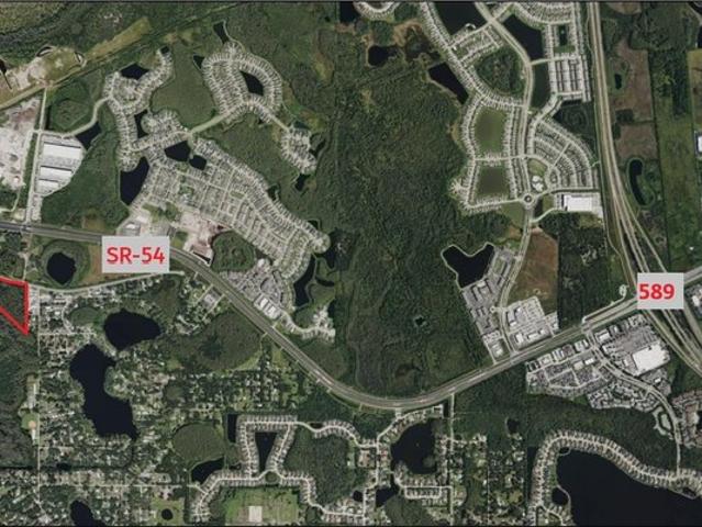 Land for sale in Odessa, Florida
