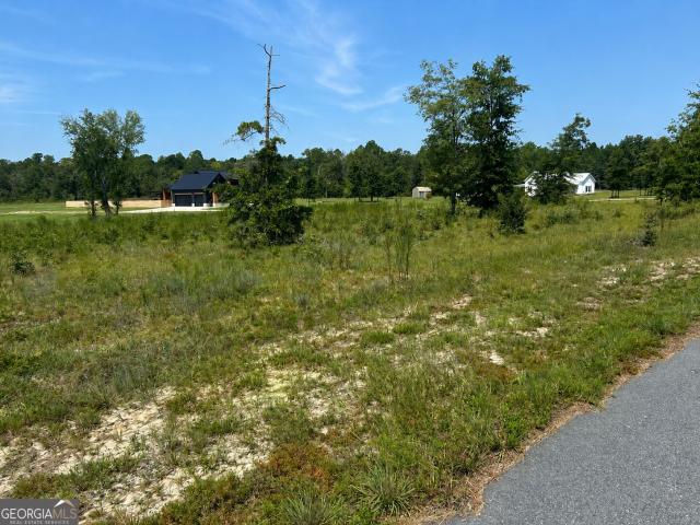 Land for sale in Swainsboro, Georgia