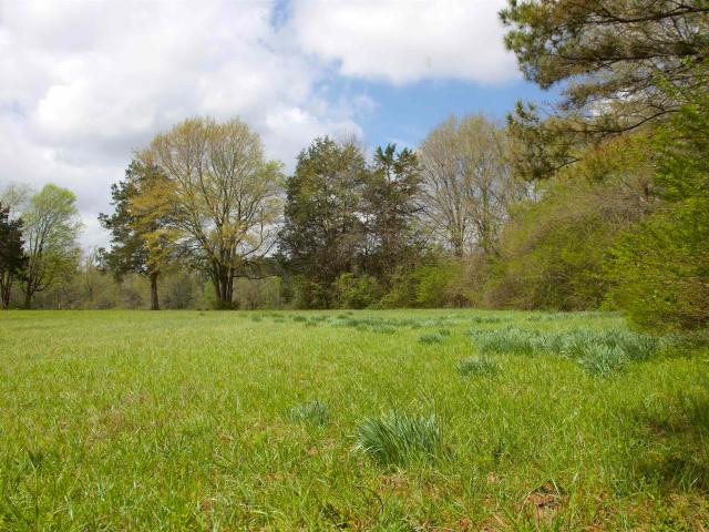 Land for sale in Tennessee