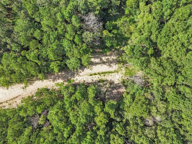 Land for sale in Walker, Louisiana