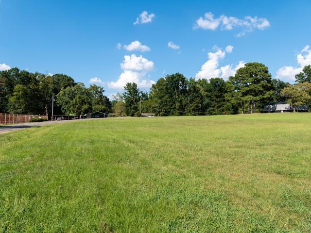 Land for sale in Rogersville, Lauderdale County