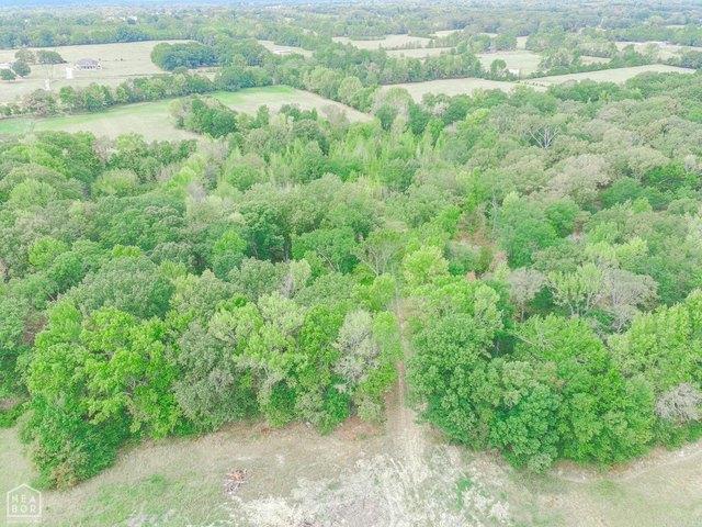 Land for sale in Judsonia, White County