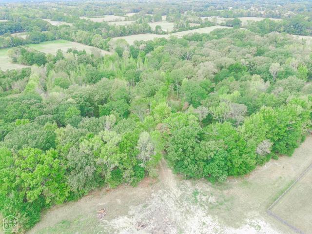 Land for sale in Judsonia, White County