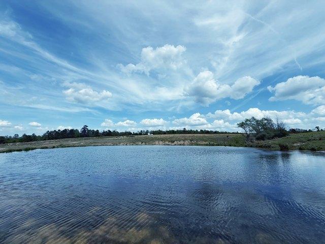 Land for sale in Leon, Texas