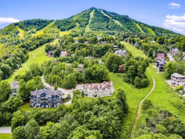 Condo for sale in Memphrémagog, Quebec