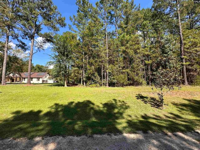 Land for sale in Chapin, South Carolina