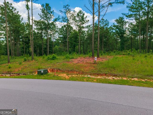Land for sale in Milledgeville, Georgia