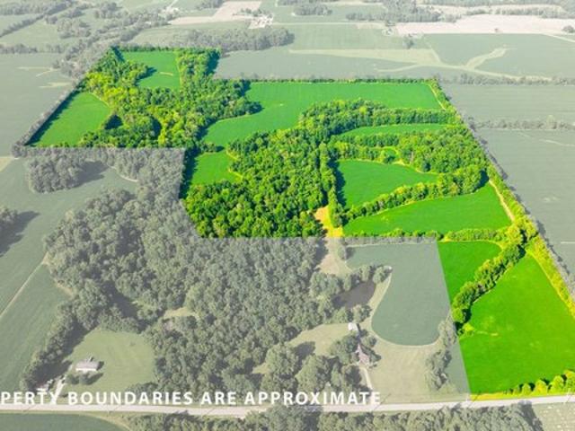 Land for sale in Hamersville, Ohio