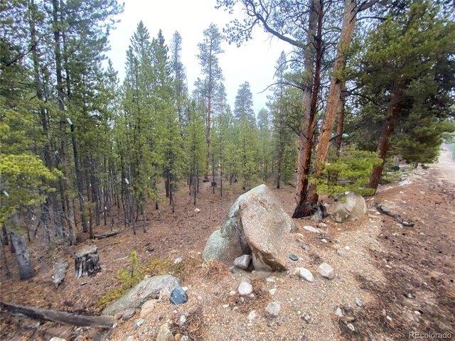 Land for sale in Twin Lakes, Colorado