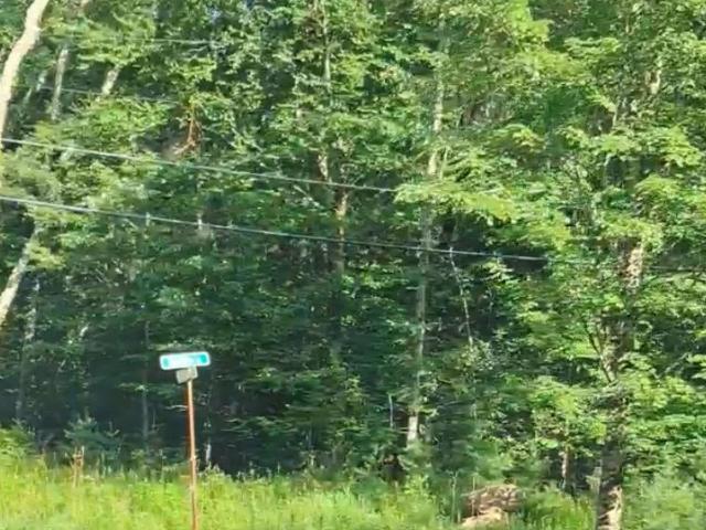 Land for sale in Accord, New York