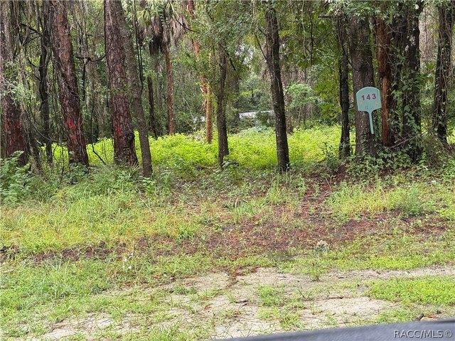 Land for sale in Crackertown, Inglis