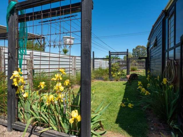 House for sale in Mangakino, Waikato