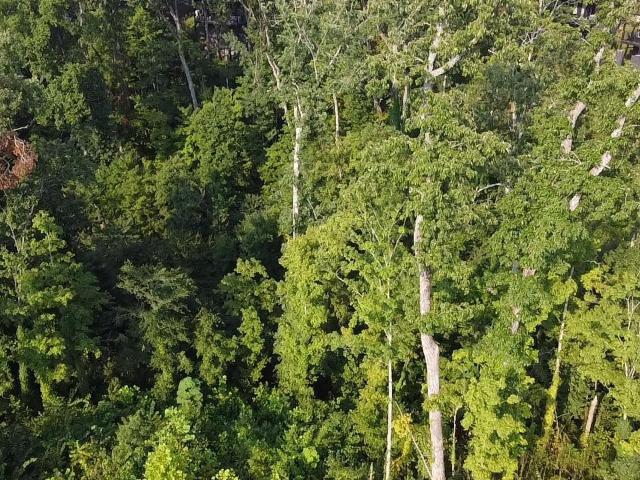 Land for sale in Tennessee