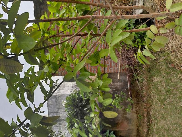 Land for sale in Moradabad, Arunachal Pradesh