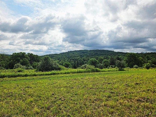 Land for sale in Binghamton, New York