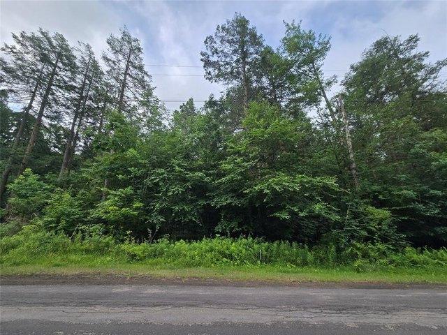Land for sale in Binghamton, New York