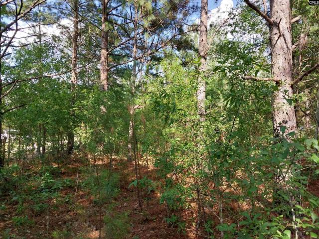 Land for sale in Pelion, South Carolina