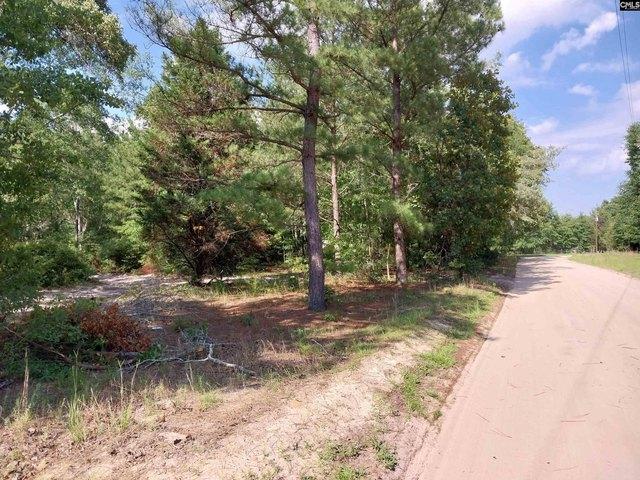 Land for sale in Pelion, South Carolina