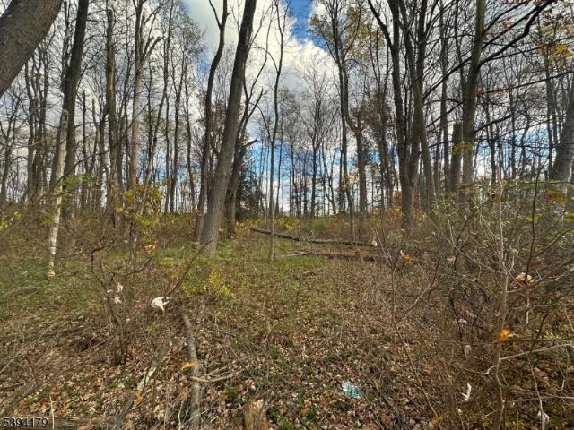 Land for sale in New Jersey
