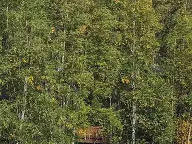 House for rent in Alaska