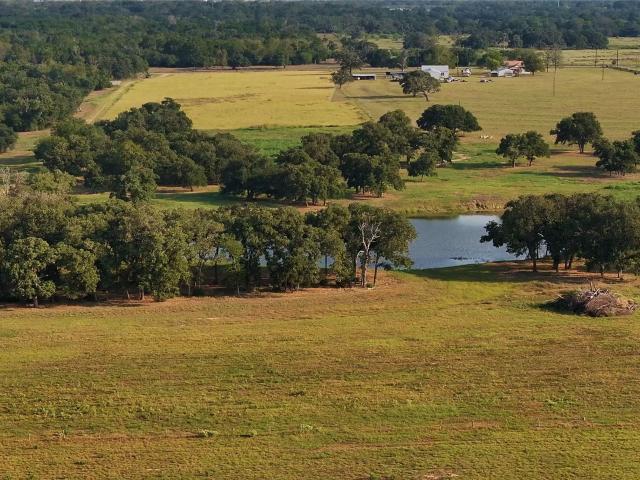 Farm for sale in Glidden, Colorado County