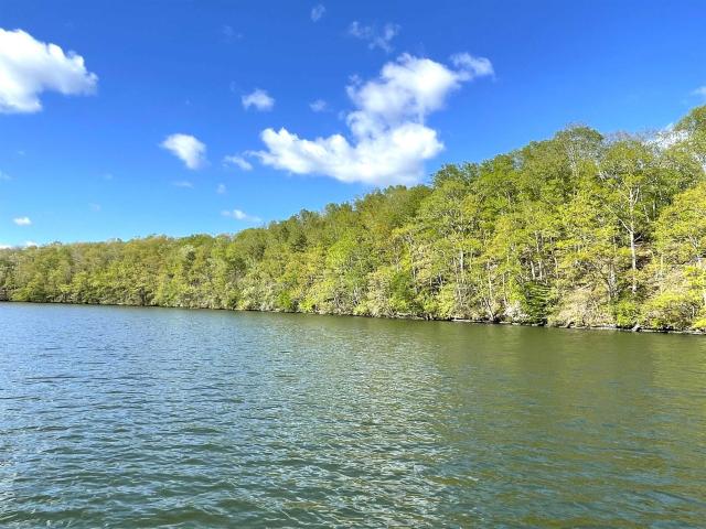 Land for sale in Killen, Alabama