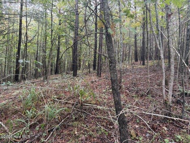 Land for sale in Murphy, Cherokee County