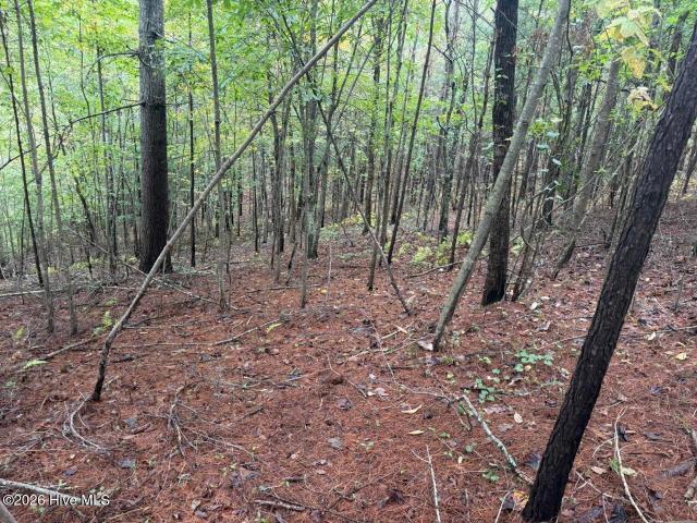 Land for sale in Murphy, Cherokee County